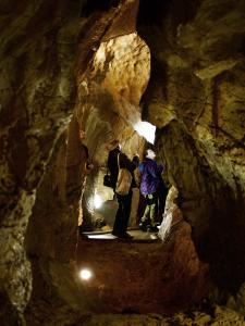 Ze tmy na světlo – probouzení netopýrů v Mladči, 5. 4. 2026