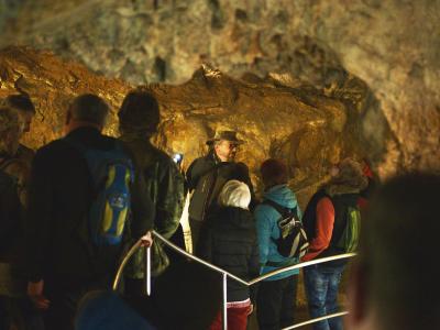 Ze tmy na světlo – probouzení netopýrů v Mladči, 5. 4. 2026