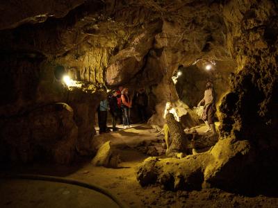 Ze tmy na světlo – probouzení netopýrů v Mladči, 5. 4. 2026