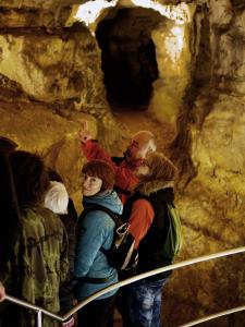 Ze tmy na světlo – probouzení netopýrů v Mladči, 5. 4. 2026