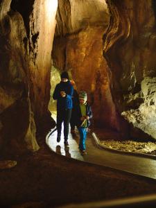 Ze tmy na světlo – probouzení netopýrů v Mladči, 5. 4. 2026