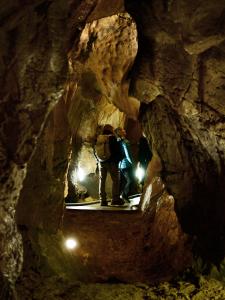 Ze tmy na světlo – probouzení netopýrů v Mladči, 5. 4. 2026