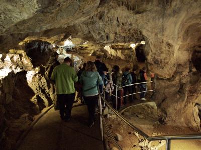 Ze tmy na světlo – probouzení netopýrů v Mladči, 5. 4. 2026