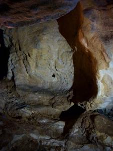 Ze tmy na světlo – probouzení netopýrů v Mladči, 5. 4. 2026