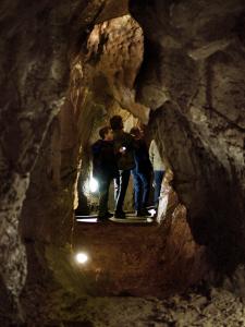 Ze tmy na světlo – probouzení netopýrů v Mladči, 5. 4. 2026